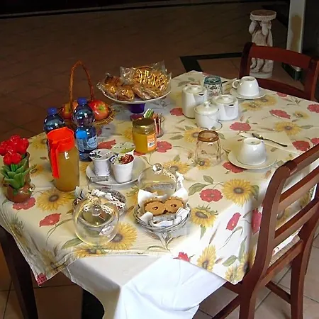 Il Pozzo Di Celle Vernio
